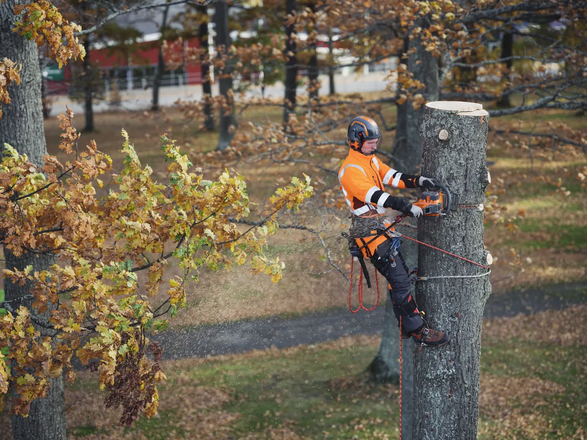 HUSQVARNA 550i XP® G - skats 2