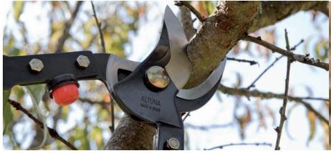 Altuna zaru knaibles 0340-82 - skats 2