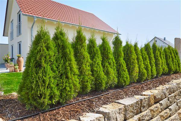 Gardena Micro Drip vidējais starta komplekts stādiem (13011) - skats 2